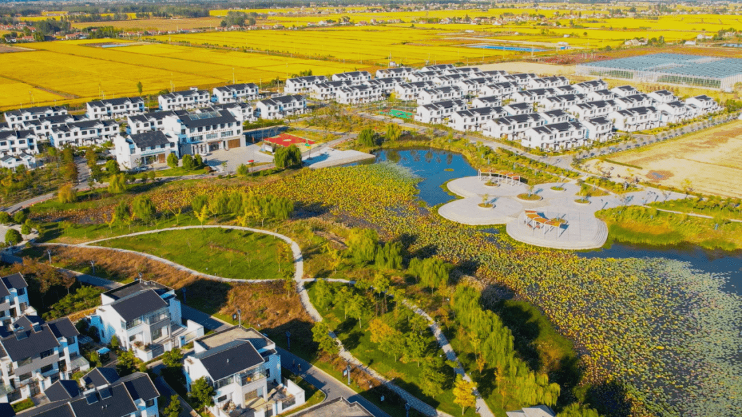 美翻了我的村第88期 | 江苏省射阳县海河镇烈士村:红色血脉代代传