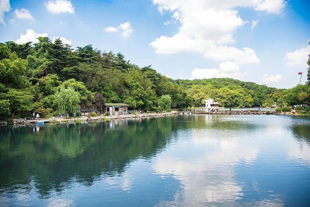本周六,免费开放!_珍珠泉风景区_夏天_南京
