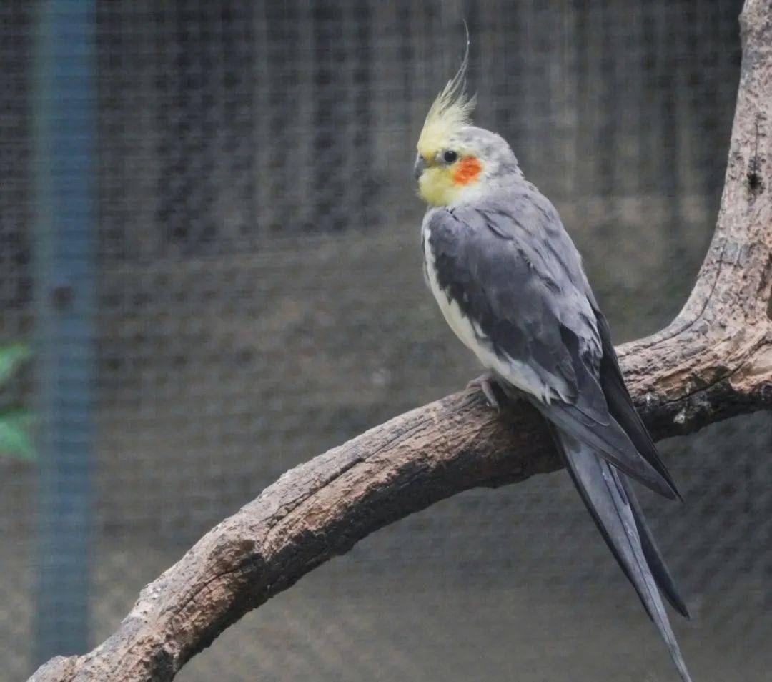 童游记丨八里河自然探索之旅