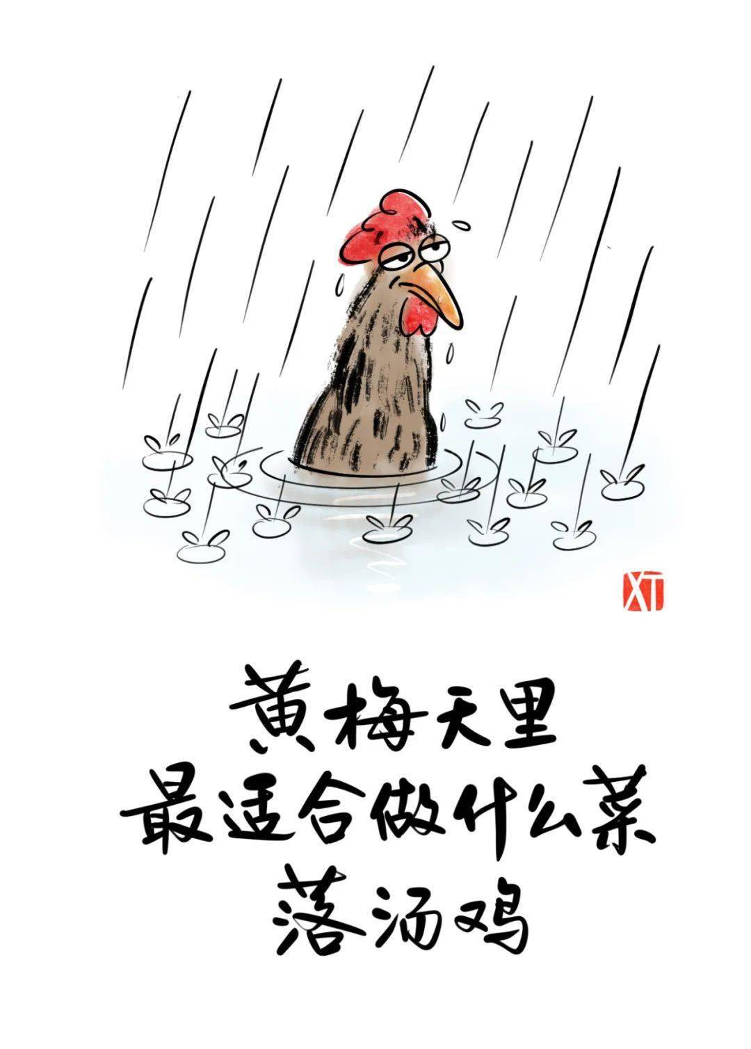 梅子雨