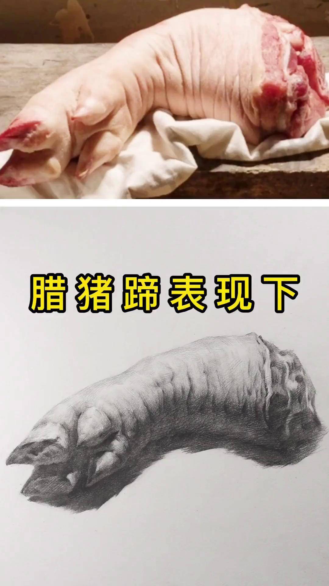 素描基础教程素描基础入门 素描基础教程 dou 小助手