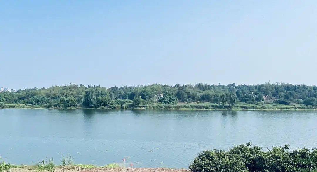 四合水库库存告急,资阳雁江"引江济库"解渴保供!_项目_供水_管网