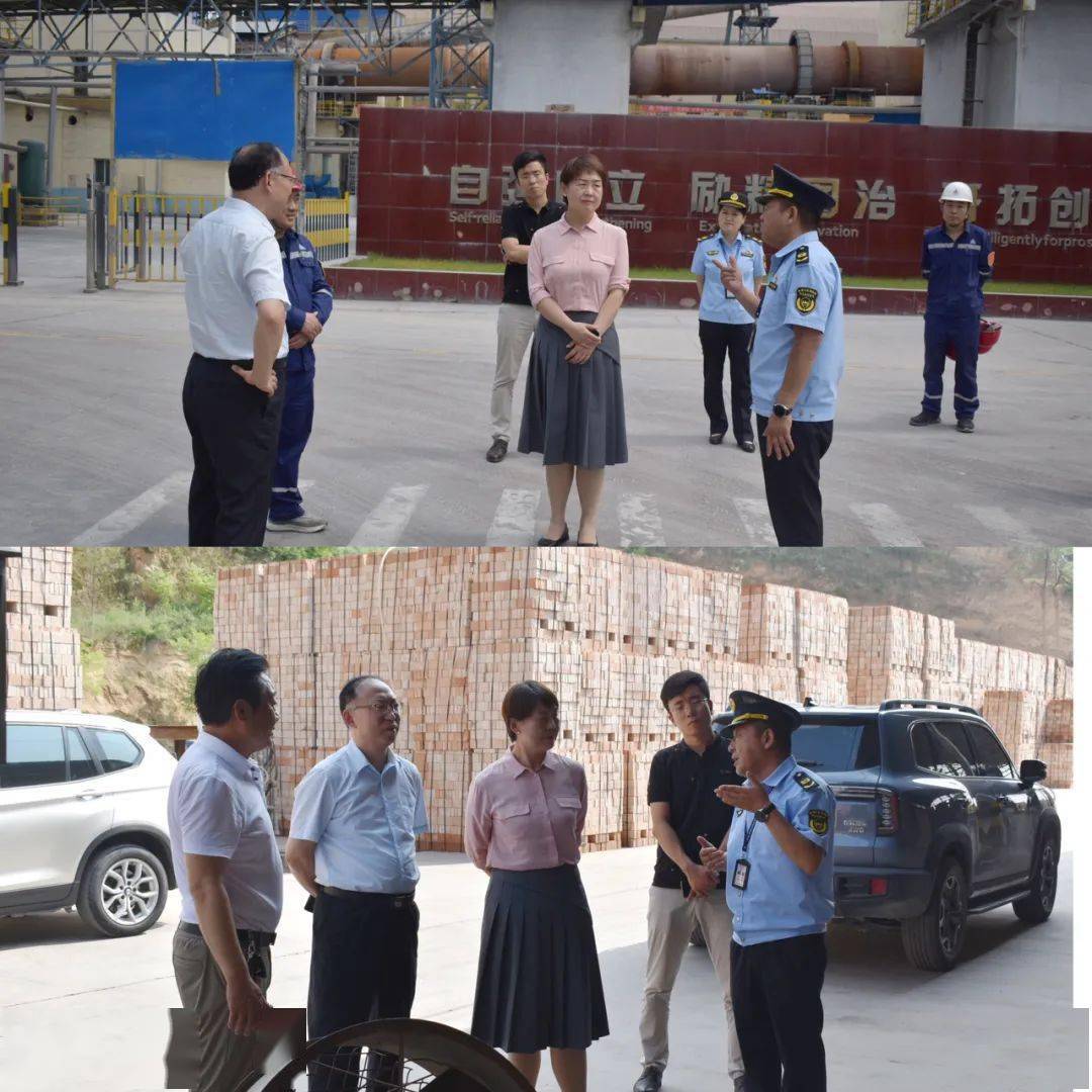 区县动态|耀州区副区长宋洁检查生态环保工作_企业_重点_监管