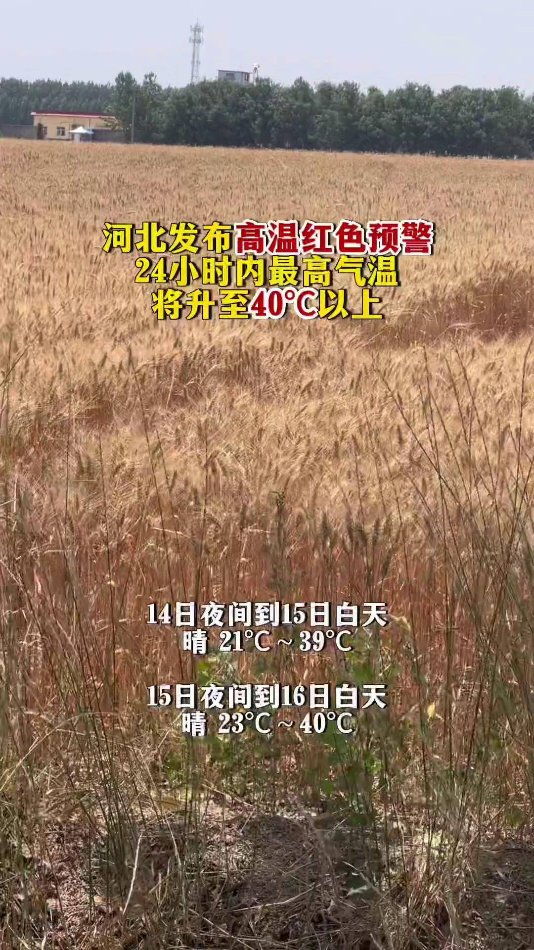 定州一周天气今日情况