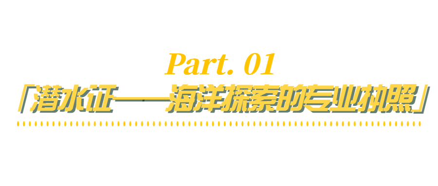 生凭有效证明报名内含3天专业培训 1次ow潜水证考试初级潜水课程华