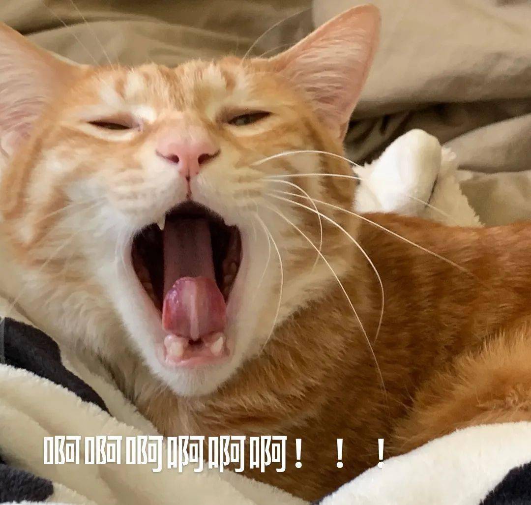 的校历,2023年普通中小学的暑假放假时间已经确定,从2023年7月9日开始