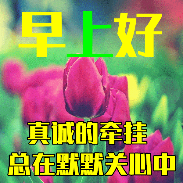 早上好,世界很大风景很多生命很短,愿你快