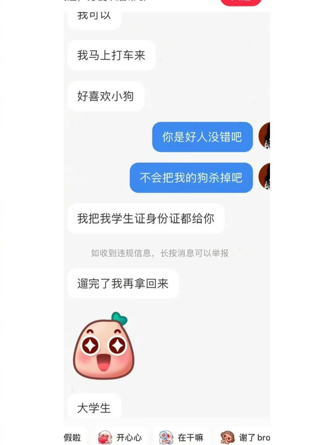 学生狗任务图片