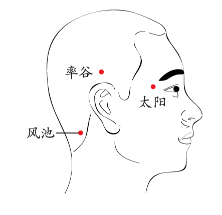 太阳的准确位置图图片