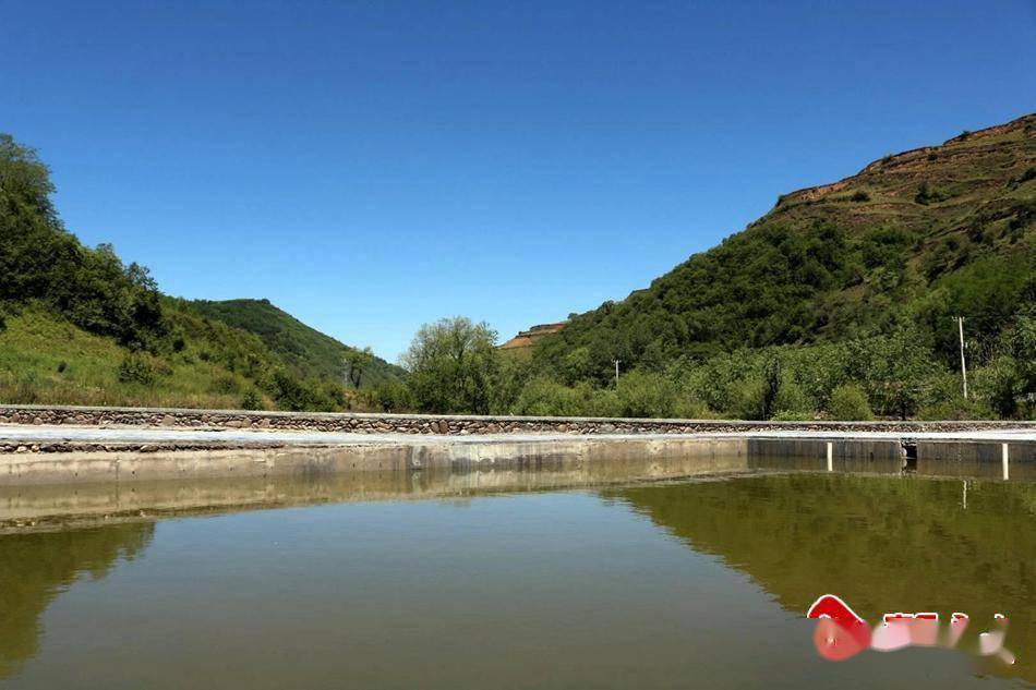 武山县杨河镇:和美乡村展新颜_建设_生态_发展