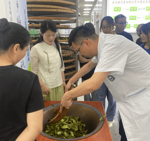 科技特派员走进传成荒野茶叶专业合作社，以三茶理念助力茶产业发展