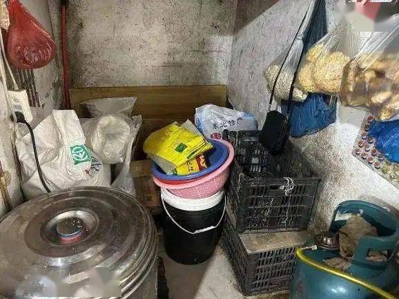 龙港5家店上"红黑榜!_食品_名称_营业执照