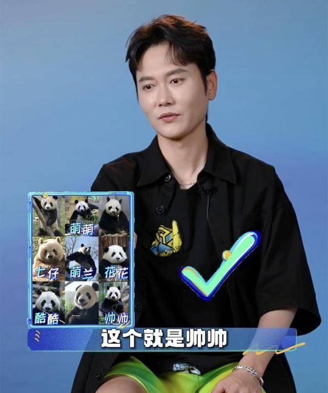 孟鹤堂做客秦霄贤综艺,接受节目组专访,网友:孟哥对熊猫真了解_视频