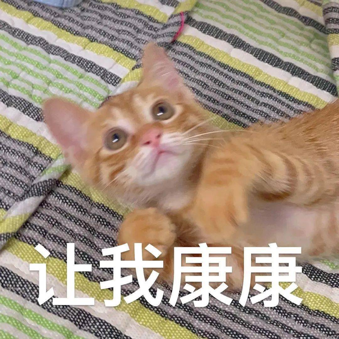 速看！贵州六地中考查分时间公布！_搜狐网