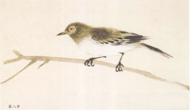 【国画教程】简单几步画出小写意麻雀,绣眼_画法_黑色_羽毛