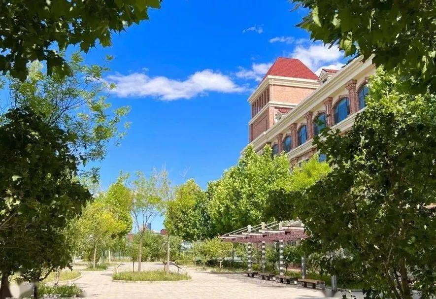 融媒探校 | 天津师范大学南开附属中学_教育_美术_发展