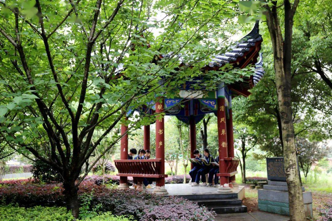 平江五中2023级高一新生录取名单公示_办学_教育_校园