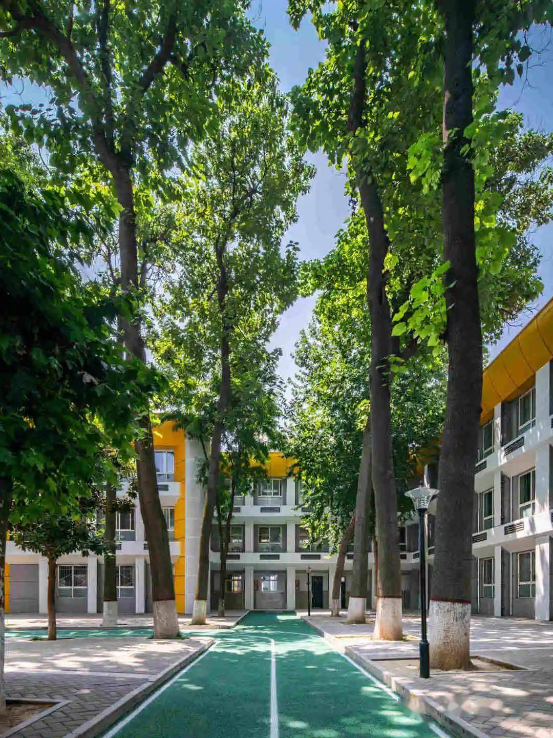 西安市华山中学2023年高中招生简章