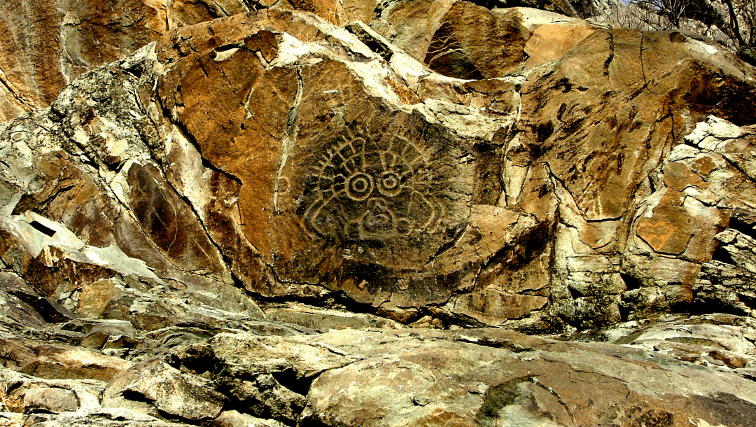 2023年暑期文化旅游活动安排_内容_门票_贺兰山