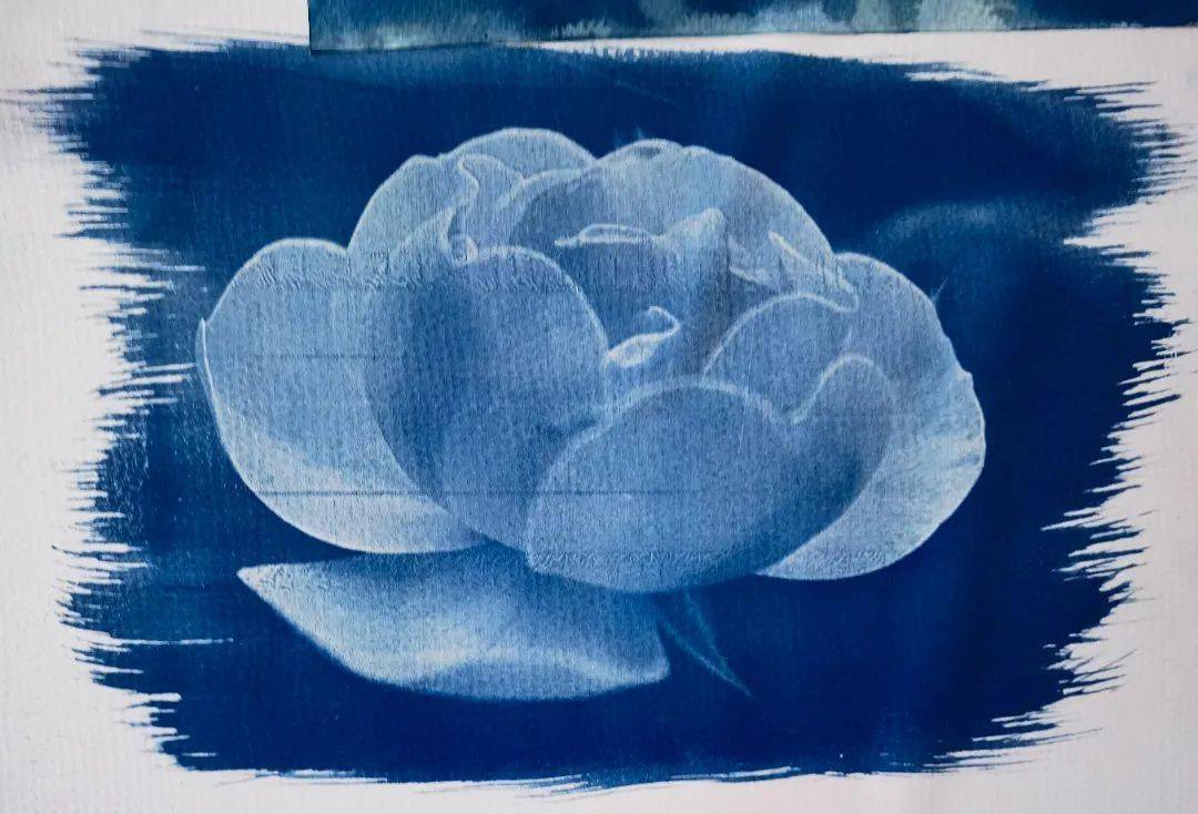 让我们走进蓝晒的奇妙世界吧!_摄影_画纸_作品