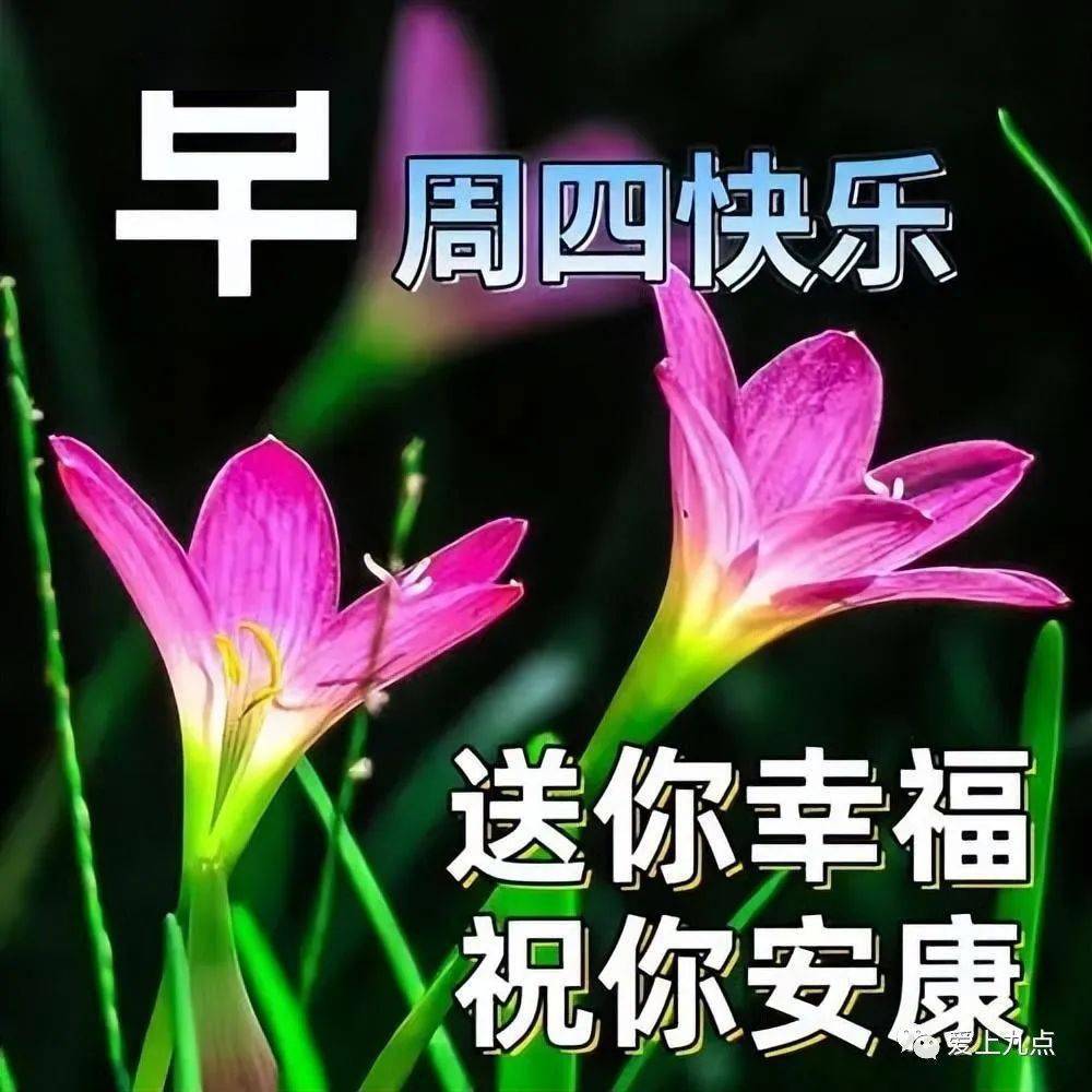 今日最新早上好表情圖片大全,開心每一天,幸福美滿!_祝福_問候_晨光