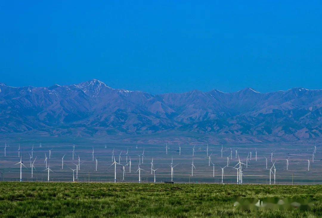 《风电场》拍摄地 青海省 蒋勇 摄《丝路驼铃》拍摄地 宁夏沙坡头