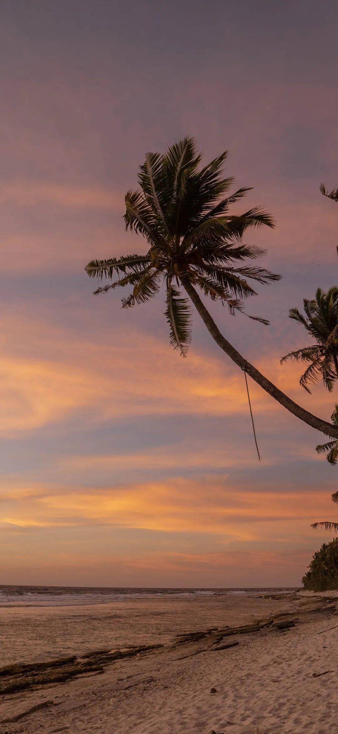 手机壁纸 | 生活因热爱而美好_人性_因为_女人
