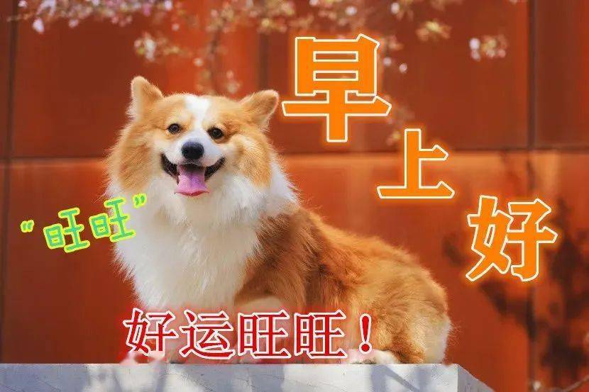 早上好!