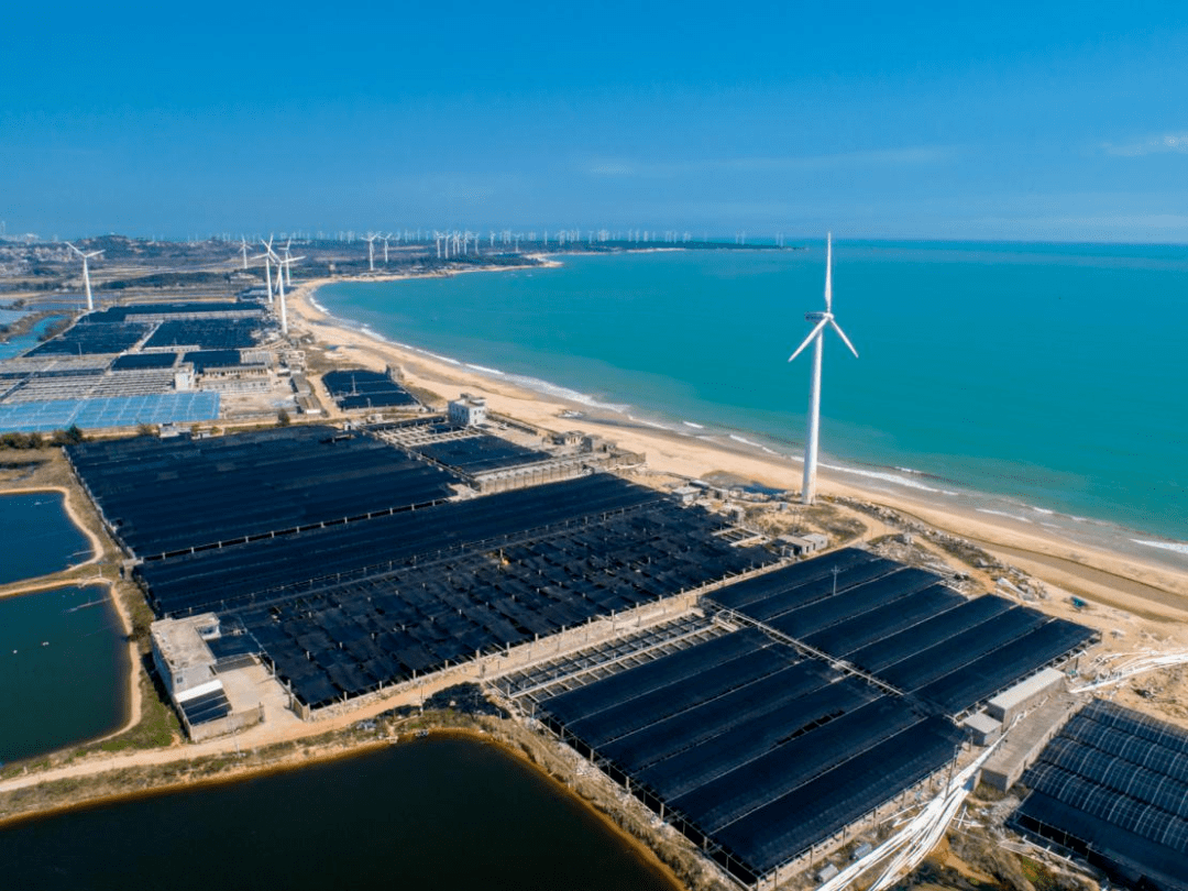 惠来县征集城市形象宣传口号,最高奖励3万元!_作品_全国_参赛