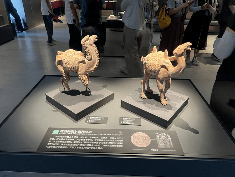 在陕西考古博物馆里 来自越南的她这样解读"何以中国"……_王鲁平