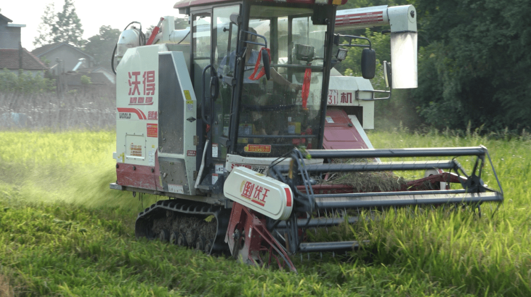 强势来袭,性能典范,沃得锐龙旗舰增强版收割机!