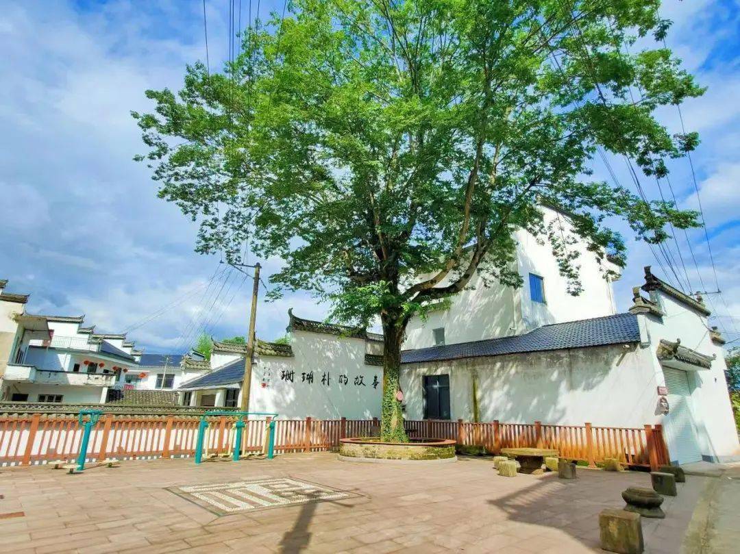 屯溪区奕棋镇:乡村"蝶变",向美而行_建设_江村_环境