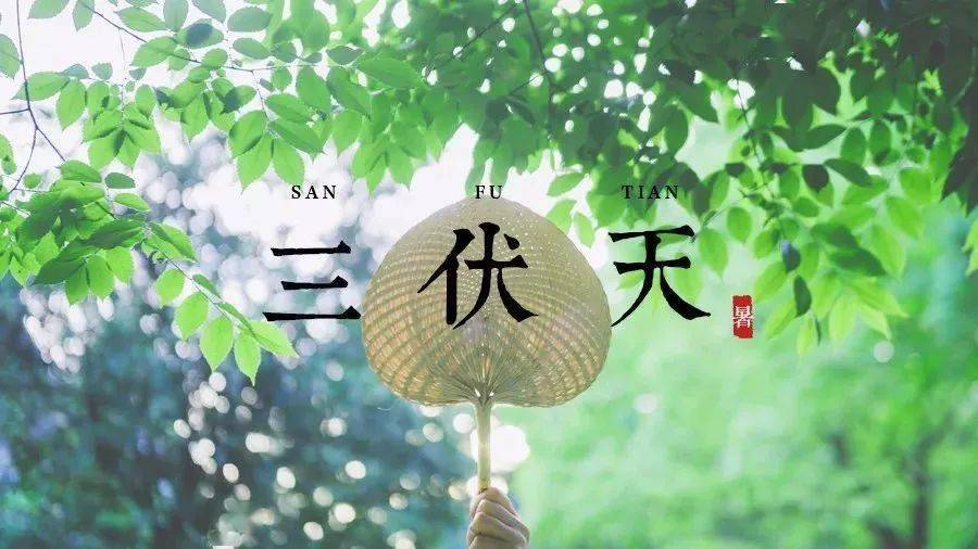 三伏天已至,贴上三伏贴出现这种症状,应马上停止→_艾灸_进行_阳气