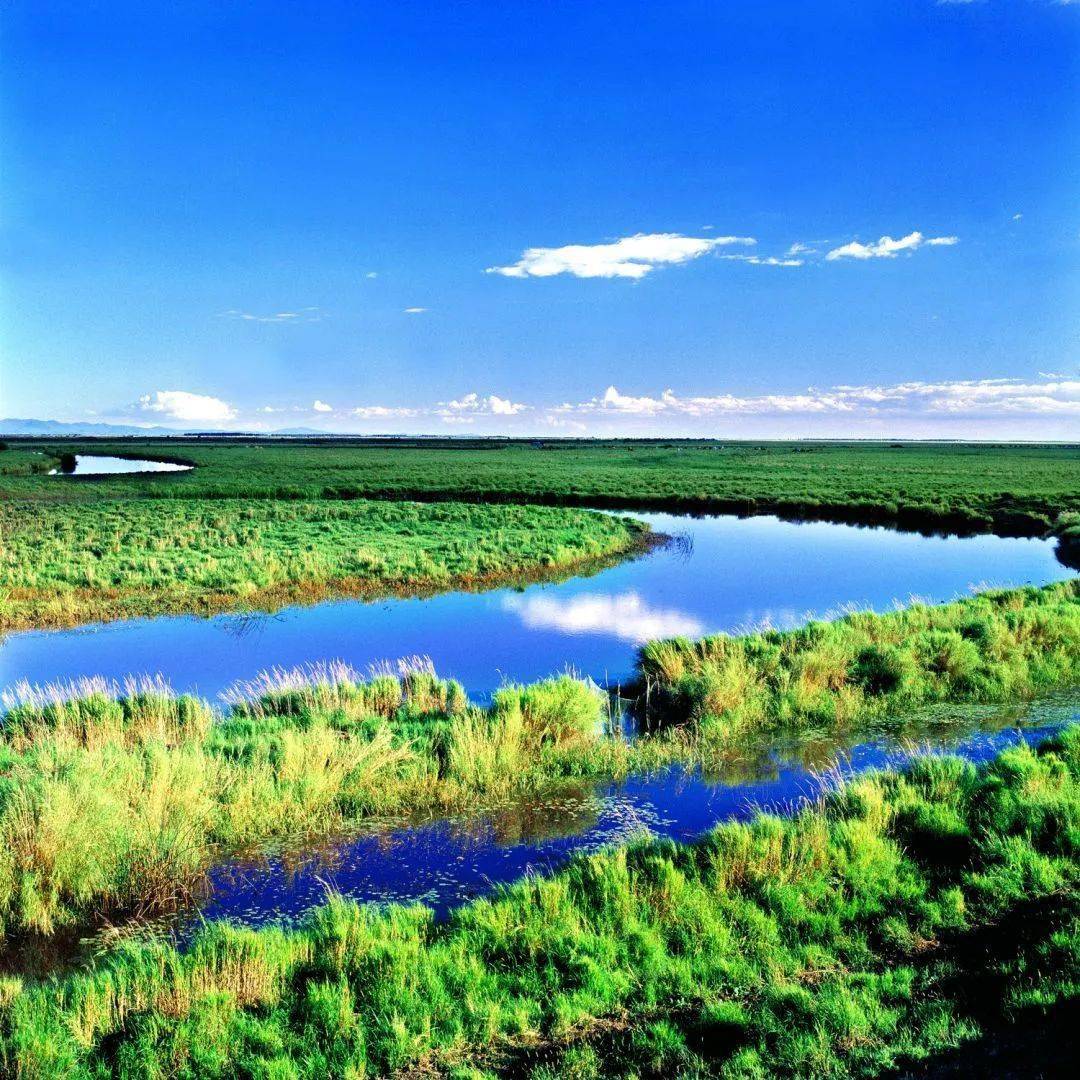 深水沼泽,水域等三江平原较为典型的各种不同类型的湿地生态景观,纵横
