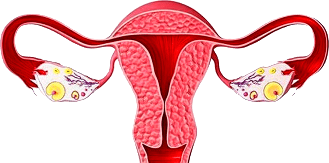 根本想不到#yin道炎演变到宫颈ai,步步惊心#为姐妹们转起~_例假_子宫