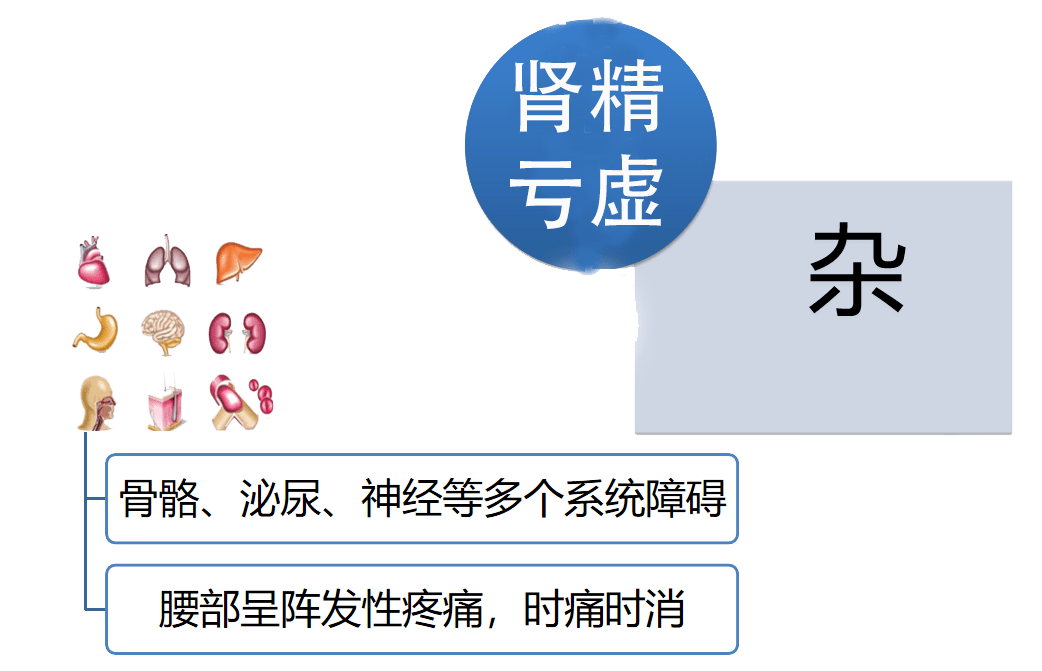 仁爱中医公益讲堂 | 肾虚+腰痛,中医内外调养有道!_治疗_保守疗法_疾病