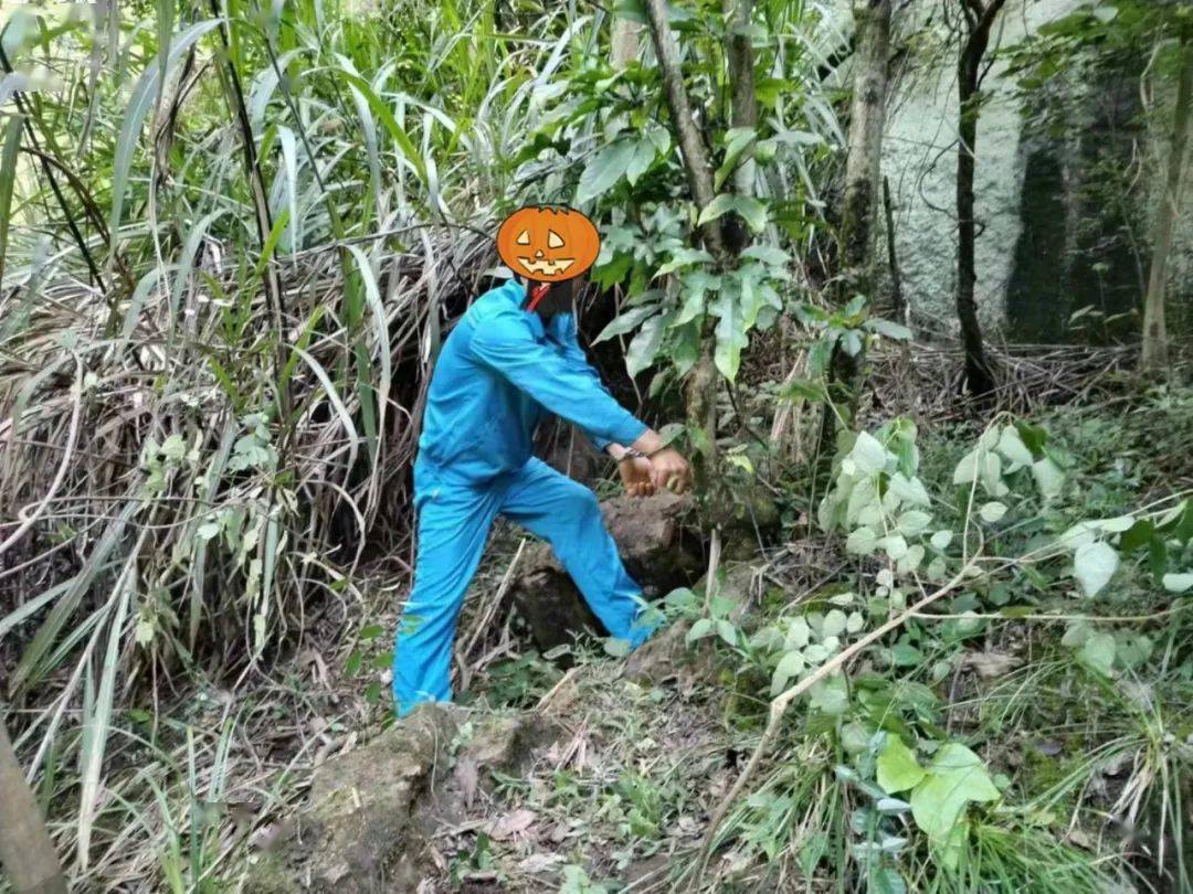 经查,2022年底,李某珲从某购物平台上购买了钢丝套,塑料踏板,报警器等