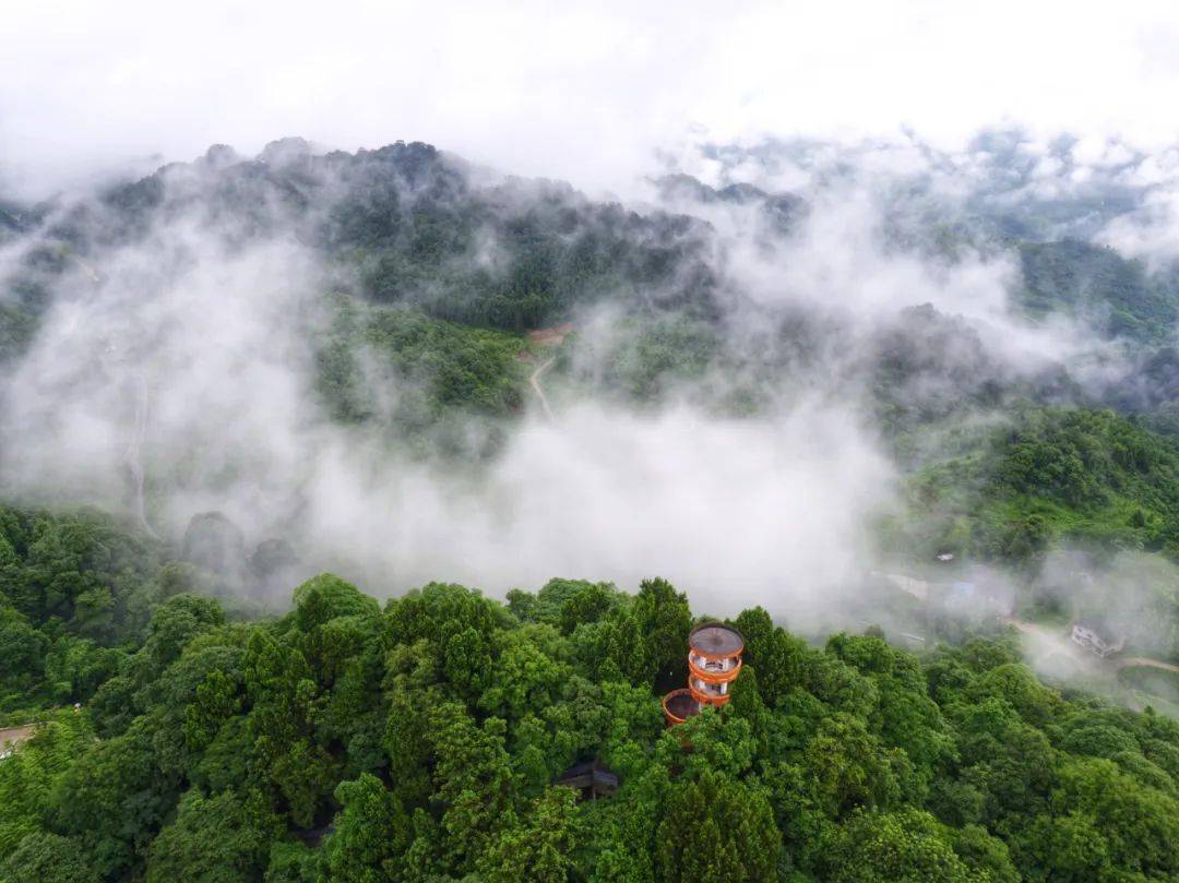 百里竹海门票图片