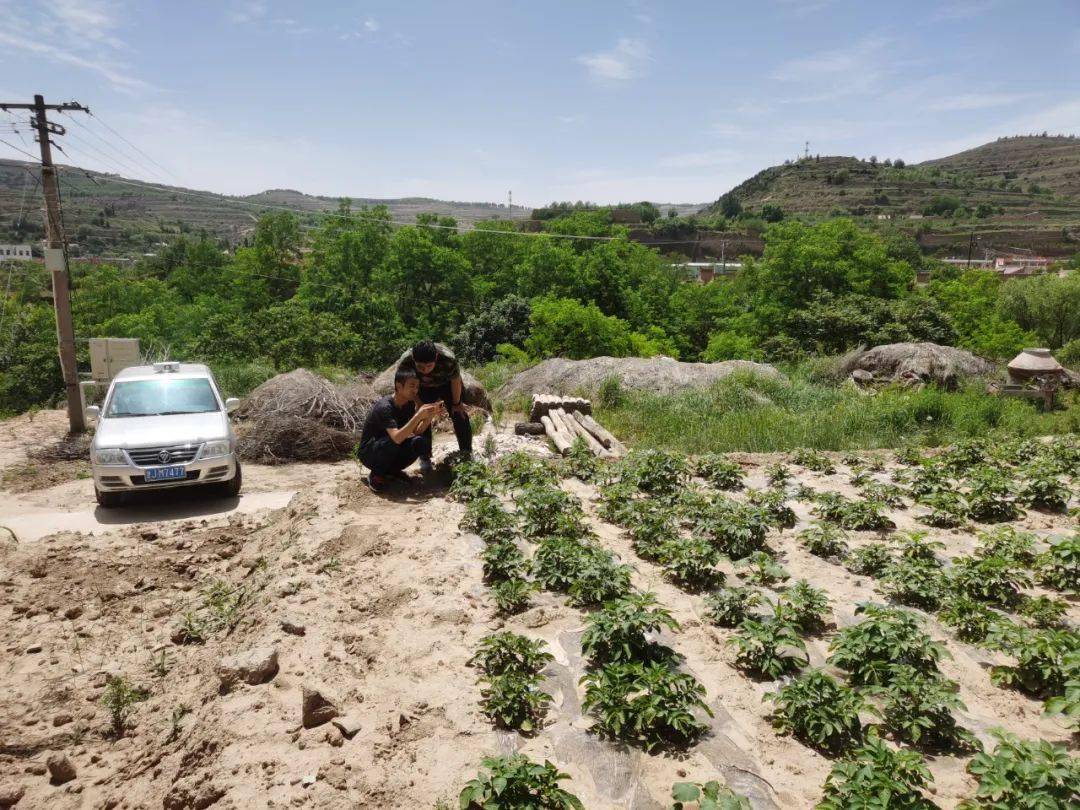 【"三抓三促"行动进行时】通渭县鸡川镇结合土地增减挂钩排摸开展禁毒