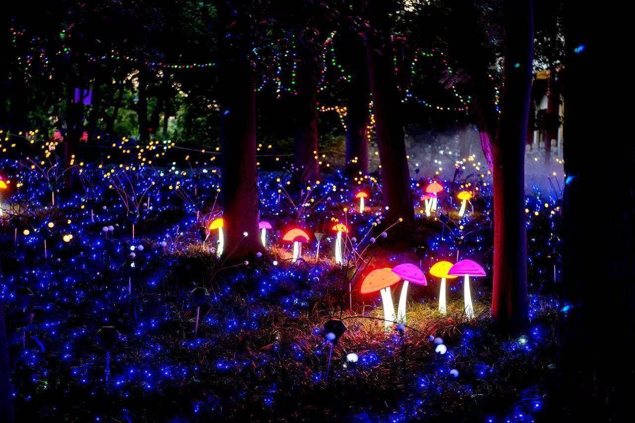 钻进东湖的奇幻森林纳凉吧_植物园_游客_灯光