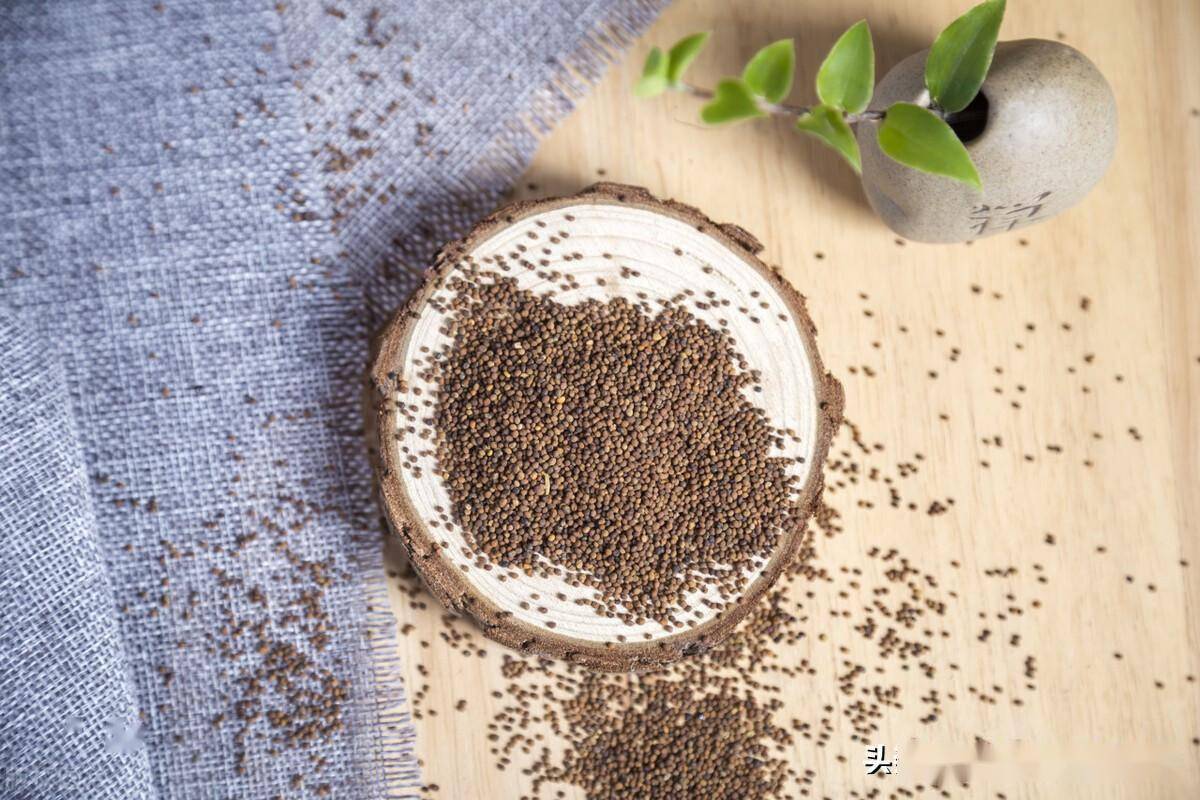 讲一剂加味益精壮阳丸,肝肾同补,阴阳并治_熟地_阳气_山茱萸