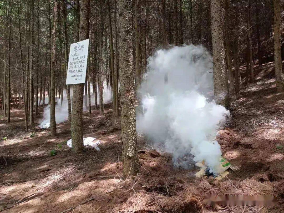 西和縣自然資源局部署香山林場持續在尖山管護區紮實開展有害生物防治