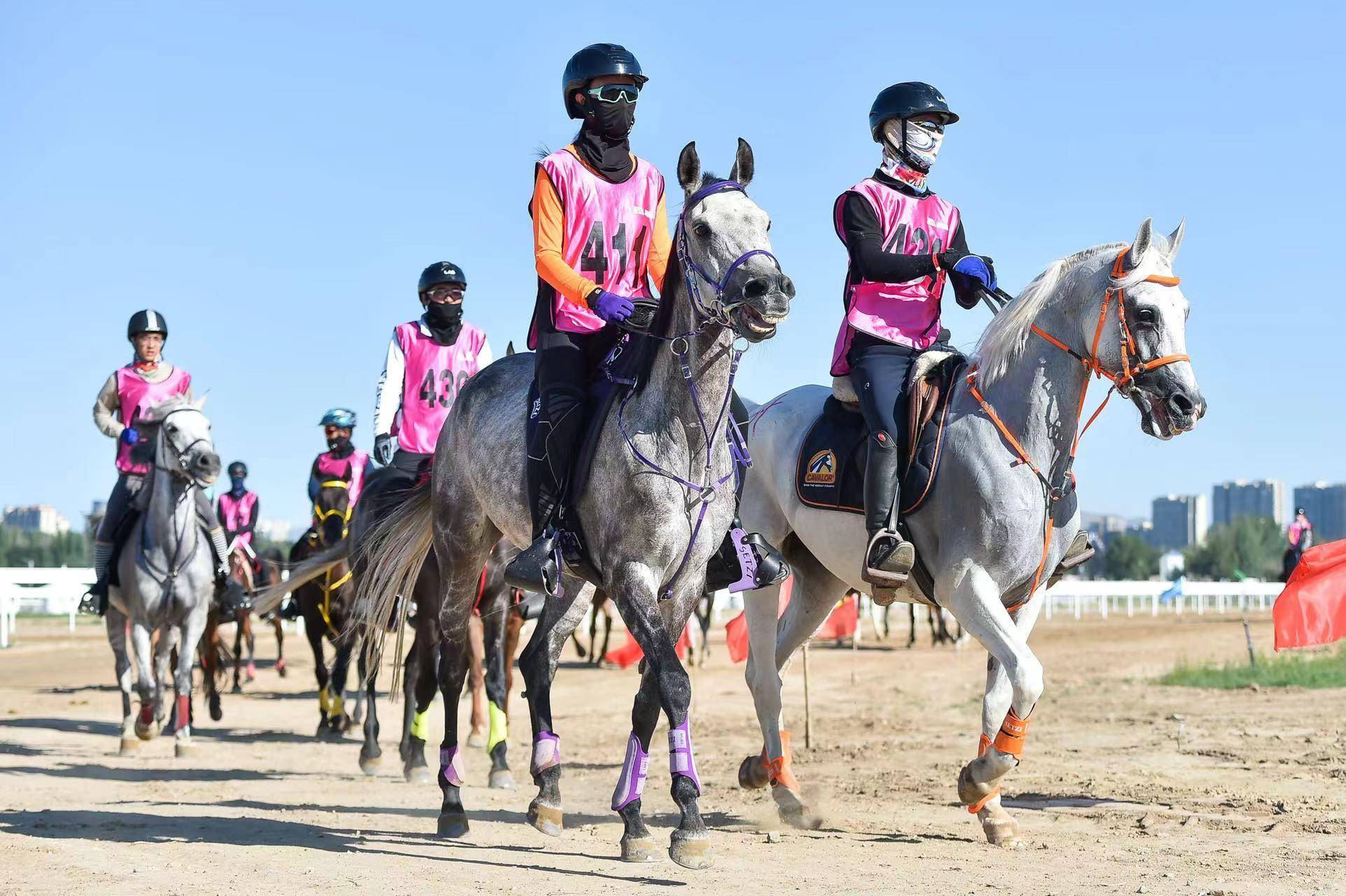 參賽世界名馬有阿拉伯馬,盎格魯馬,布瓊尼馬,國產改良馬,三河馬,沙加