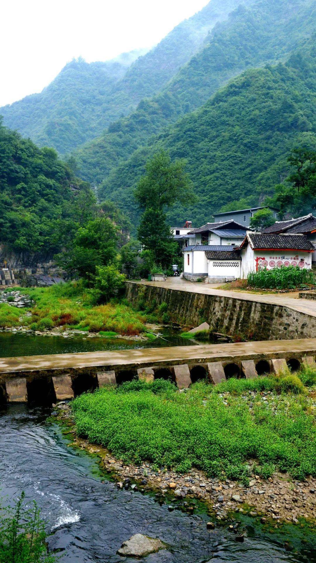 四川摄影师眼中的康阳路_康县_烟雨_野舟