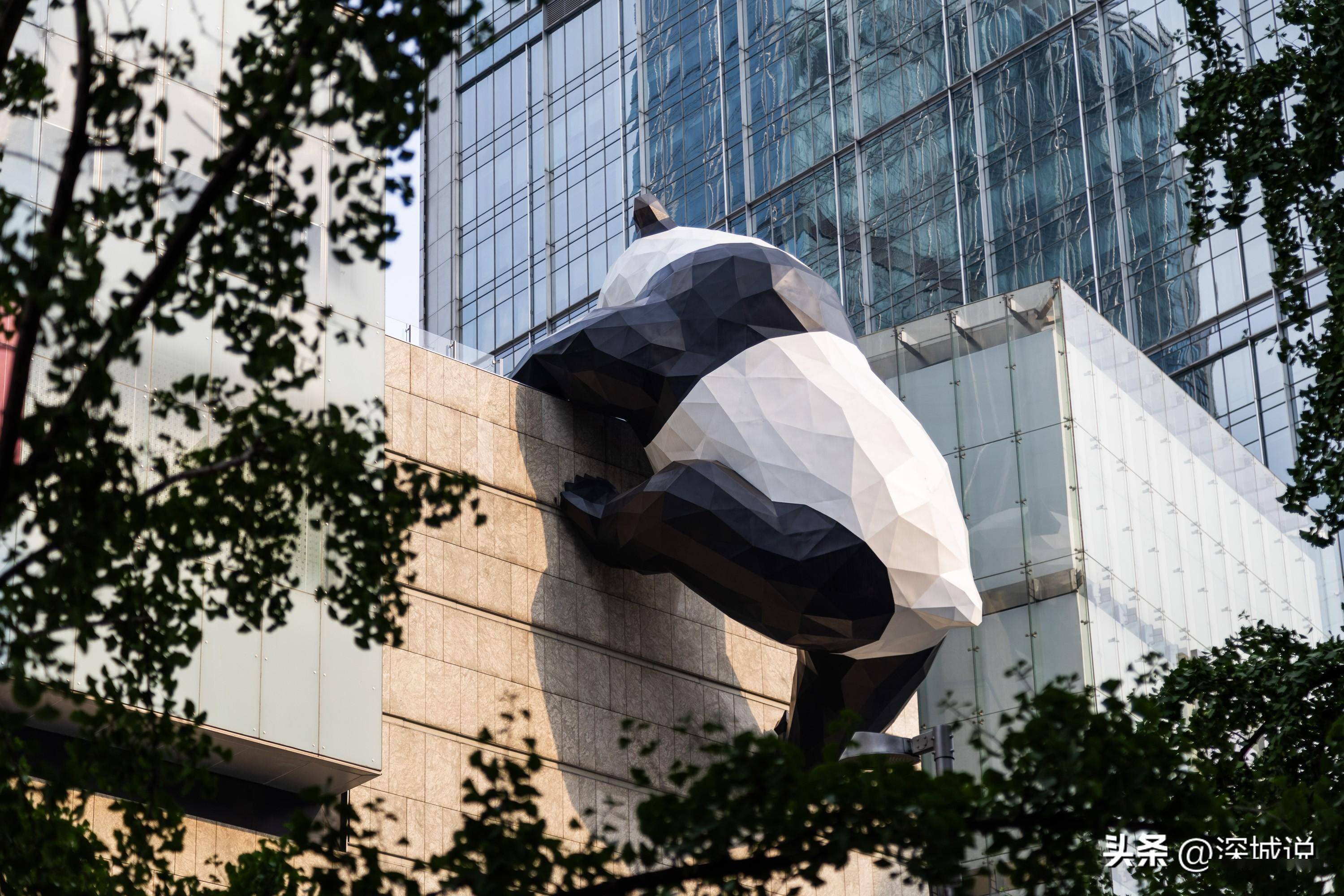 成都ifs这个爬楼大熊猫可谓是顶流了游客必打卡