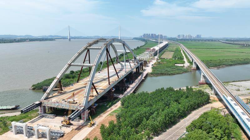 簰洲湾长江大桥规划图图片