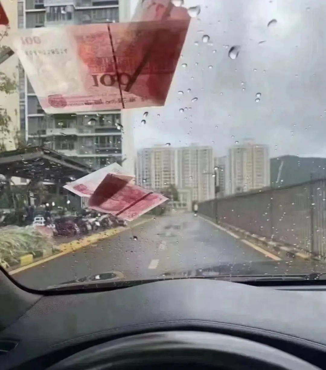 降!降!台风来了!雷雨也不缺席!