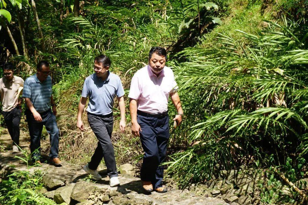 万工程"|广宁县总工会第二个回乡创业示范基地揭牌_发展_砂仁_梁妙练