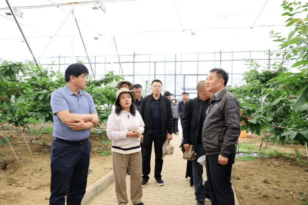 顺义区龙湾屯镇樱桃项目考察团一行赴尼木县开展种植技术调研交流