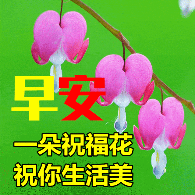我的宝贝,天天快乐哈!